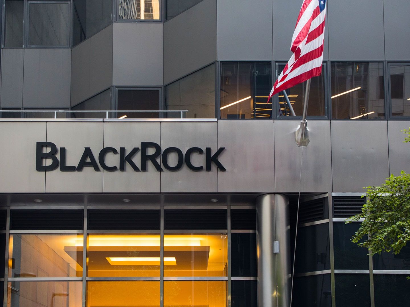 BlackRock expande la tokenización de fondos de mercado monetario a europa con $311 mil millones en activos