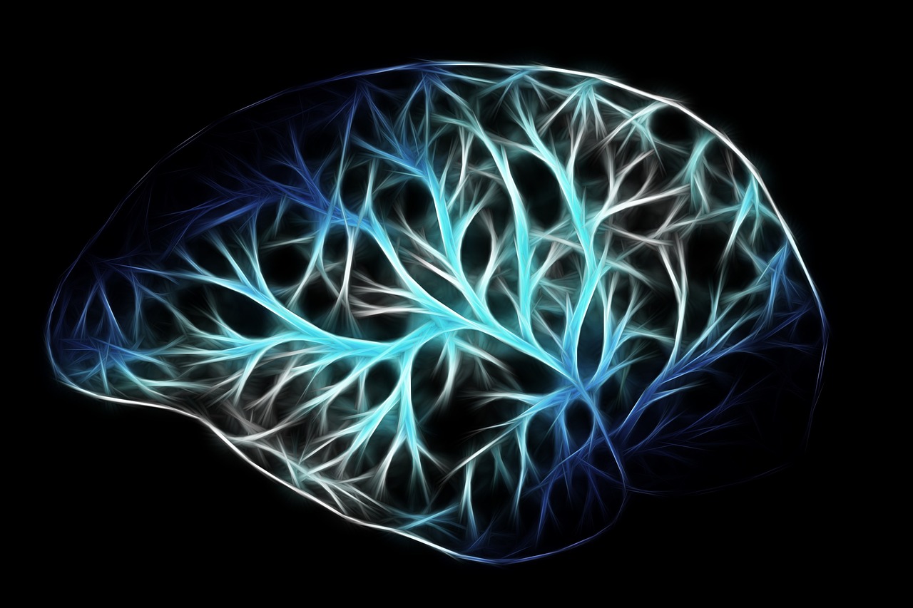 Representación artística y abstracta de un cerebro humano con conexiones neuronales brillantes en tonos azules y blancos sobre un fondo negro.